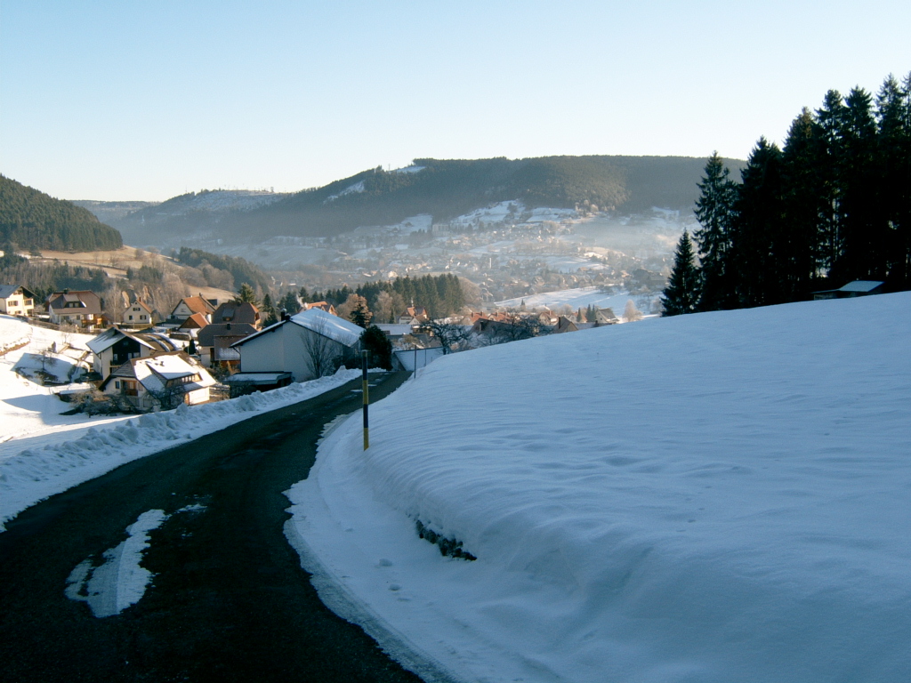 Baiersbronn, Baden-Württemberg, D - Februar 2006