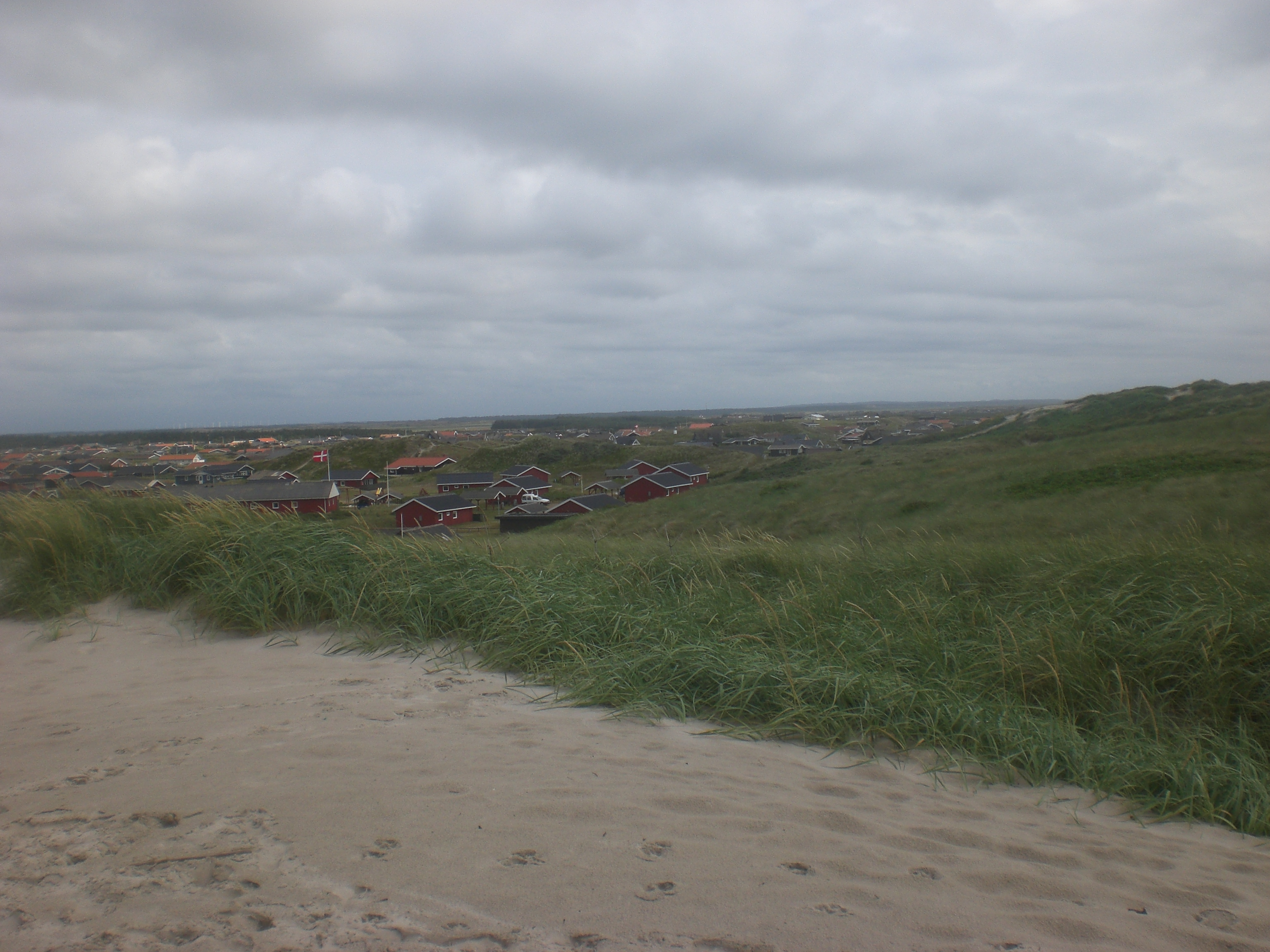 Bjerregård, Region Midtjylland, DK - Juli 2011