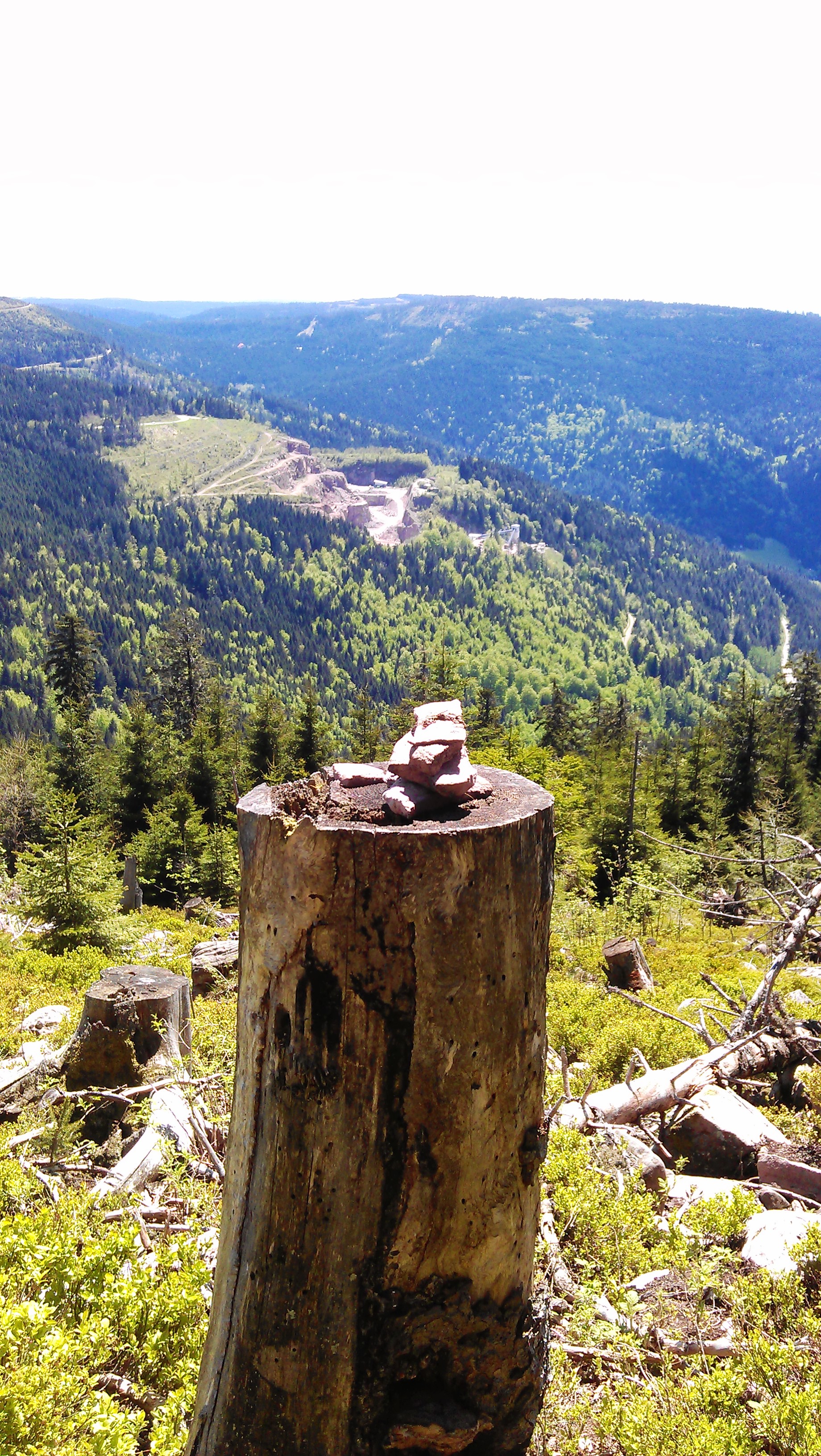Hornisgrinde, Schwarzwald, DE - Mai 2013