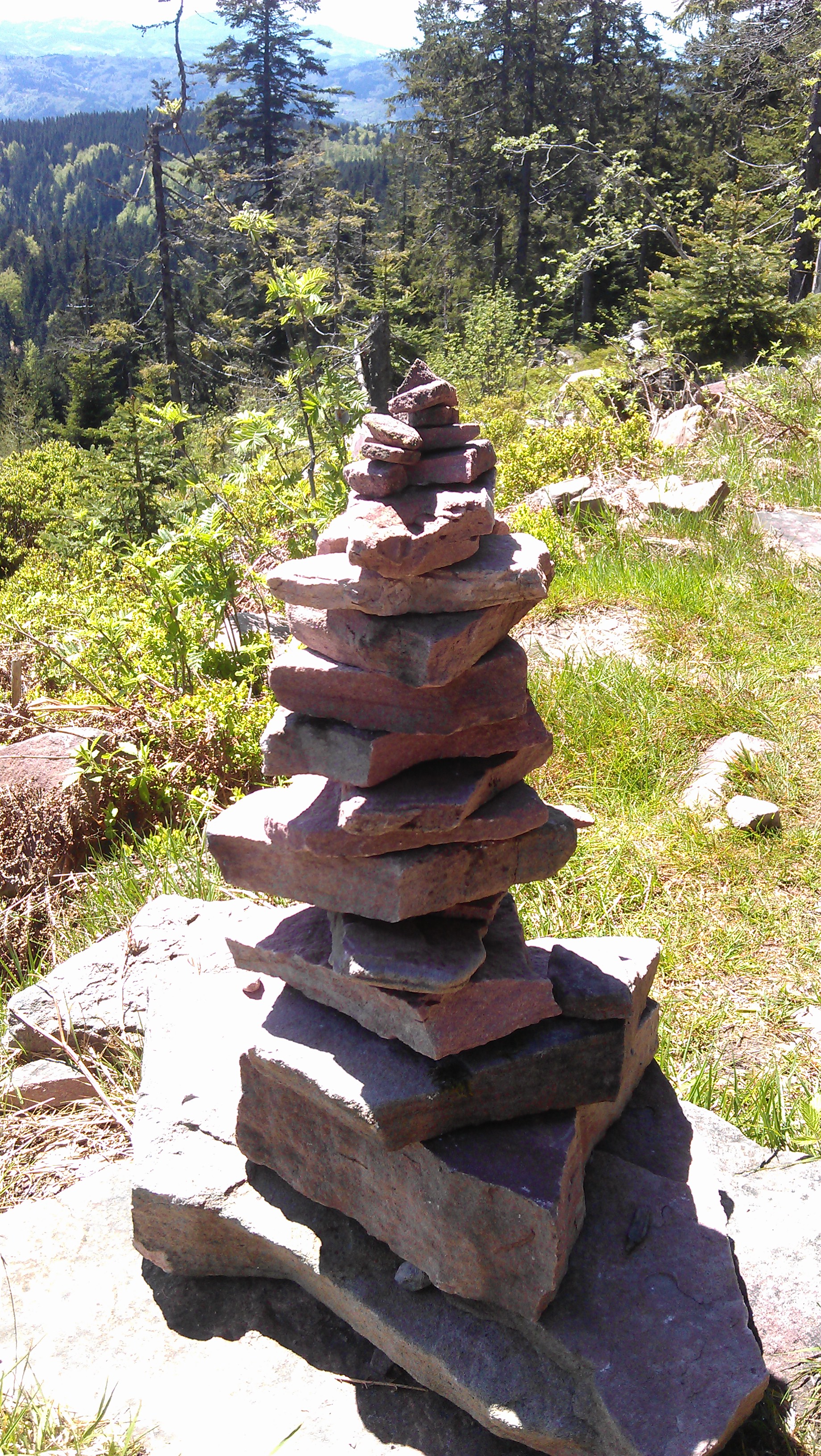 Hornisgrinde, Schwarzwald, DE - Mai 2013