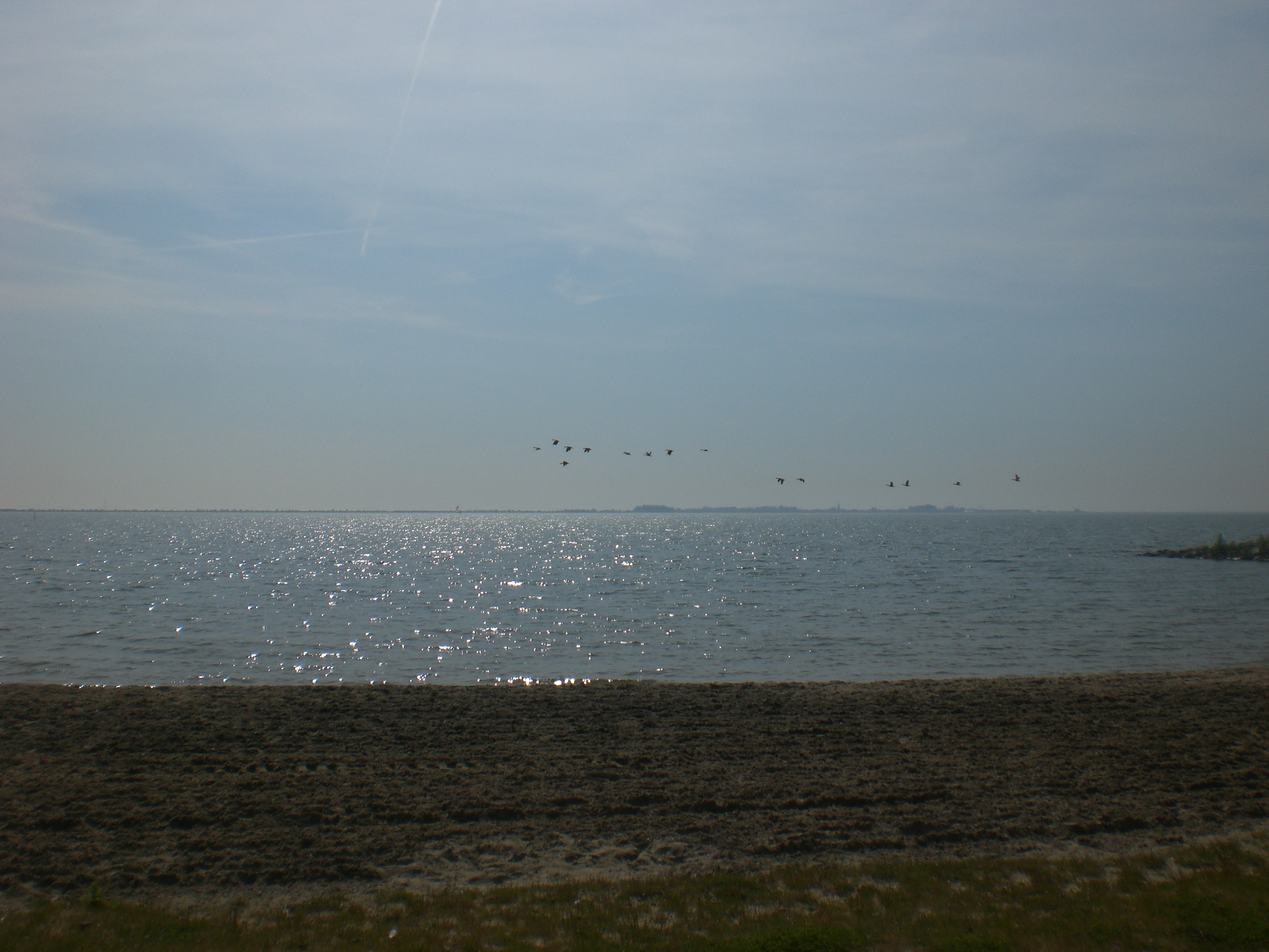 Munnikeveld, Volendam, Noord-Holland, NL - Juni 2010