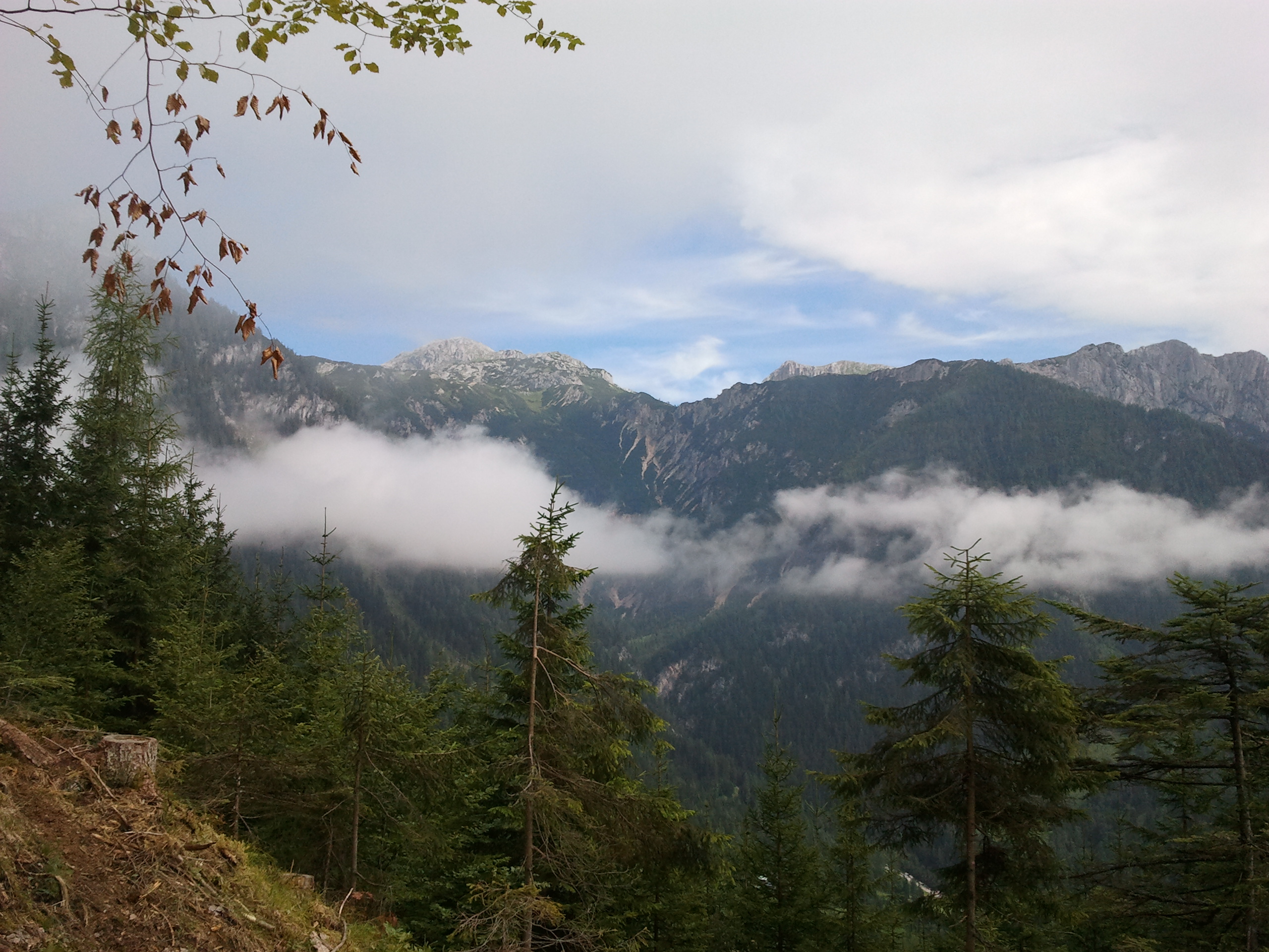 Sattelberg, Leiten (Dachstein), A - August 2012